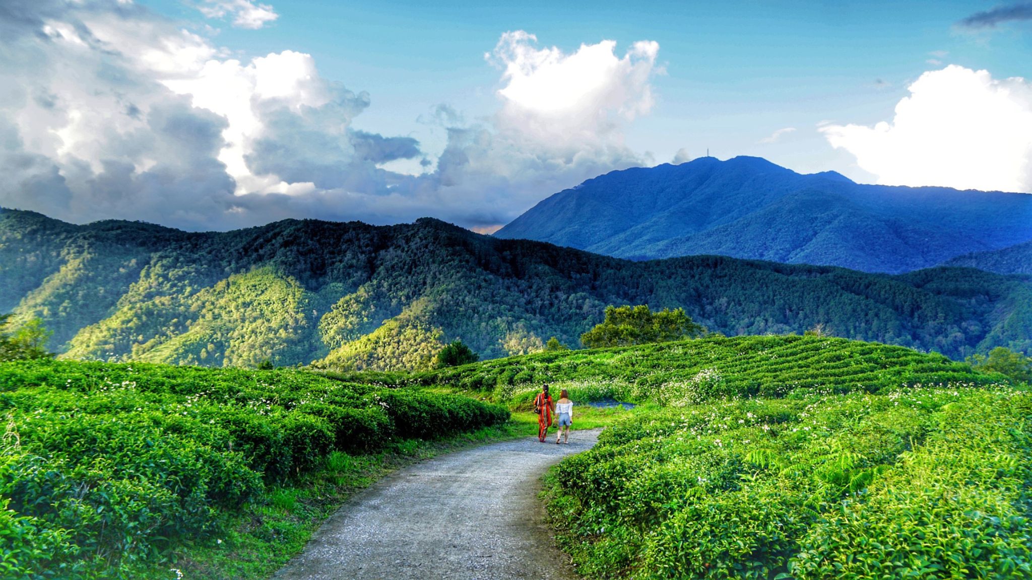 Ethnic Encounters: Hill Tribes of Vietnam