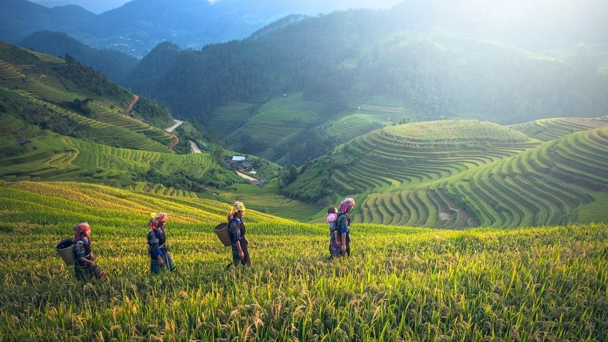 Pu Luong Ethnic Trekking
