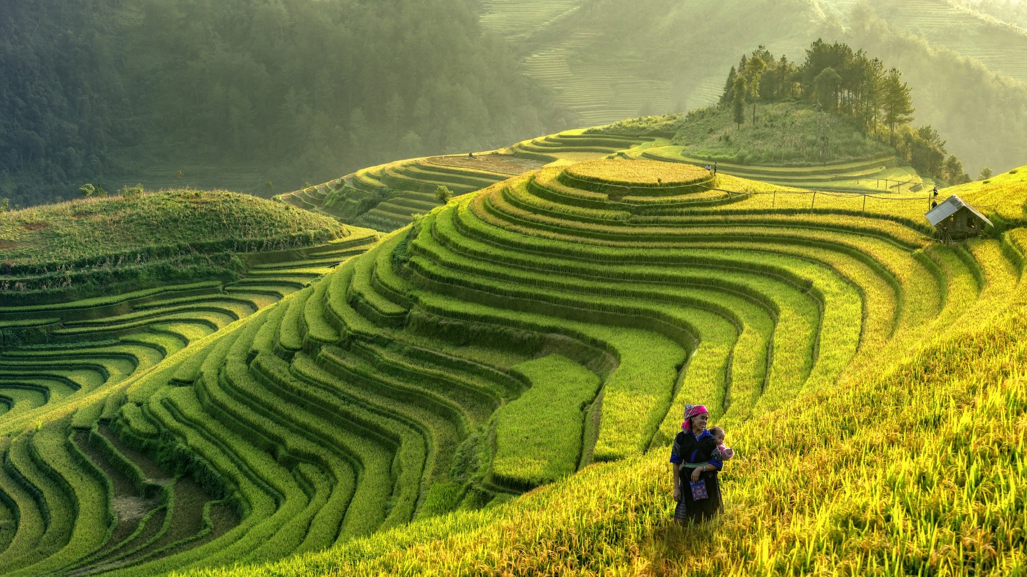 Small Group North Vietnam Explorer